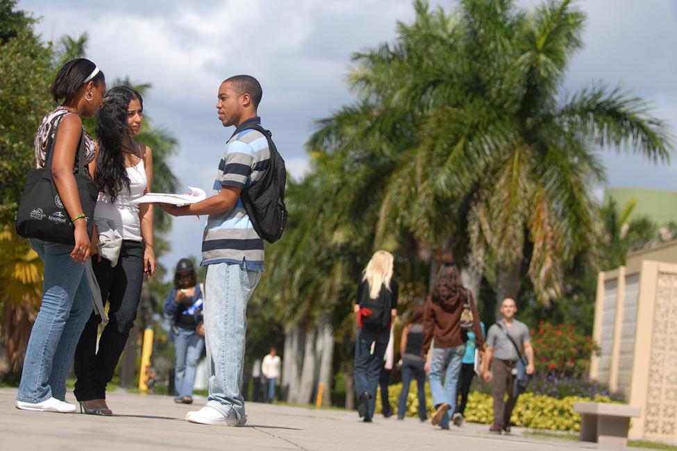 Over 10,000 Students Have Participated In FAU’s Link Transfer Success Program 