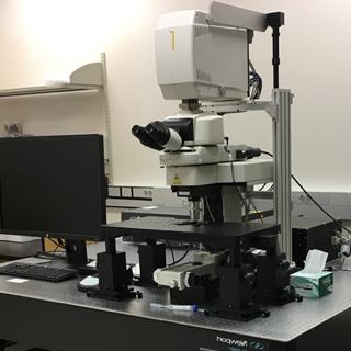 Nikon A1R Multiphoton with FN1 Upright Microscope